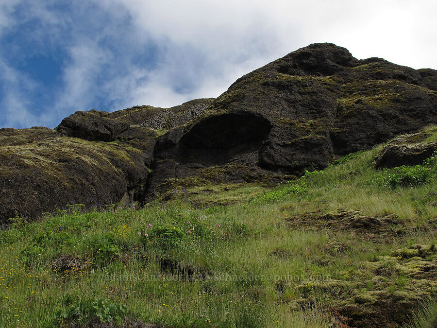 cliffs & sky [Saddle Mountain Trail, Clatsop County, Oregon]