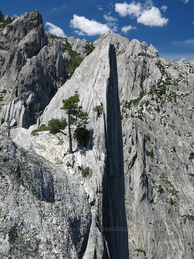 vertical cliff [The Observation Deck, Castle Crags Wilderness, Shasta County, California]