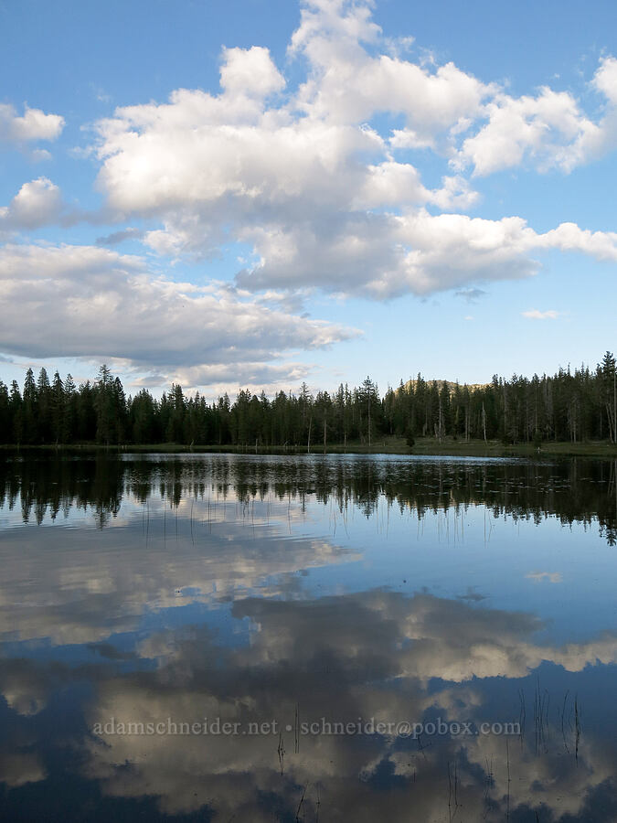 reflected clouds [Gumboot Lake, Shasta-Trinity National Forest, Siskiyou County, California]