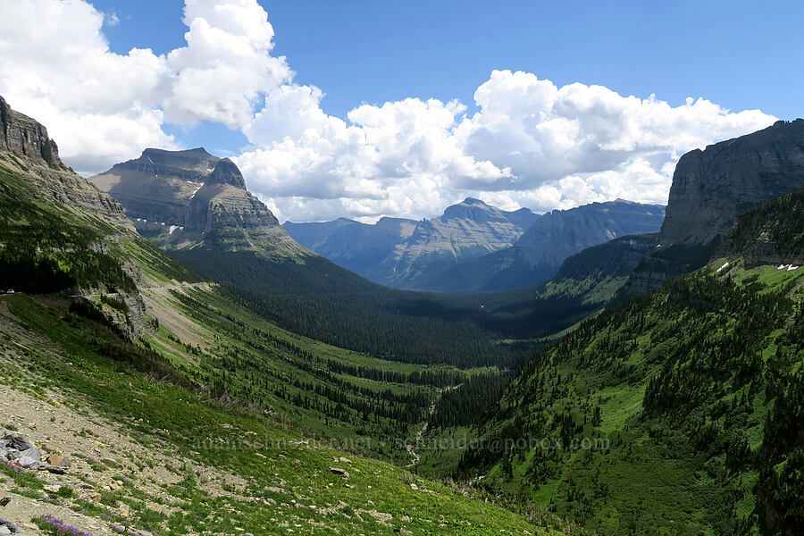 Reynolds Creek Valley [Going-to-the-Sun Road, Glacier National Park, Glacier County, Montana]