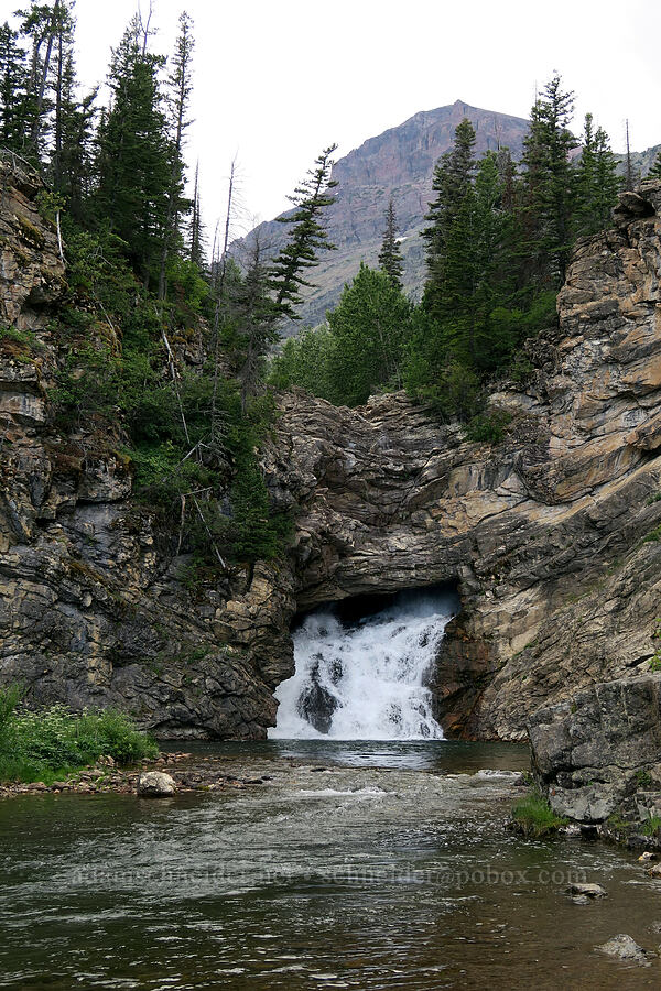 Running Eagle Falls & Rising Wolf Mountain [Running Eagle Falls Trail, Glacier National Park, Glacier County, Montana]