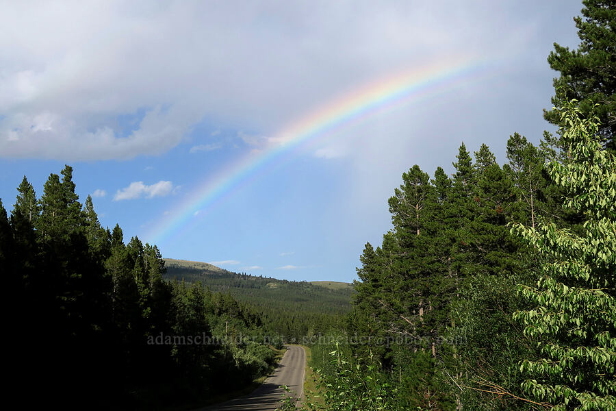 rainbow [Two Medicine Road, Glacier National Park, Glacier County, Montana]