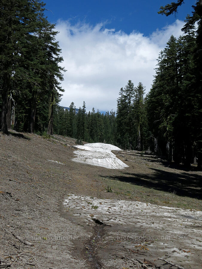 snow patches [Clear Creek Trail, Mount Shasta Wilderness, Siskiyou County, California]
