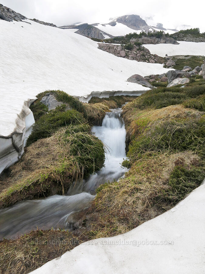 stream and snow [Clear Creek Valley, Mount Shasta Wilderness, Siskiyou County, California]