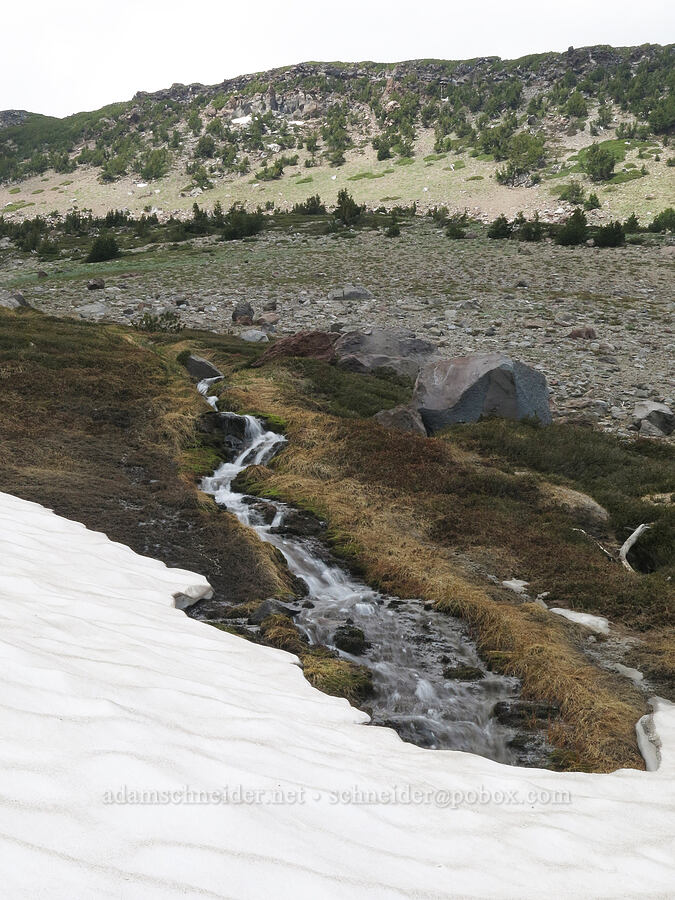 stream flowing into snow [Clear Creek Valley, Mount Shasta Wilderness, Siskiyou County, California]