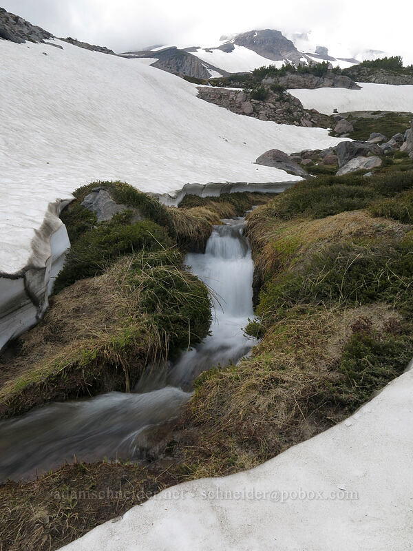 stream and snow [Clear Creek Valley, Mount Shasta Wilderness, California]