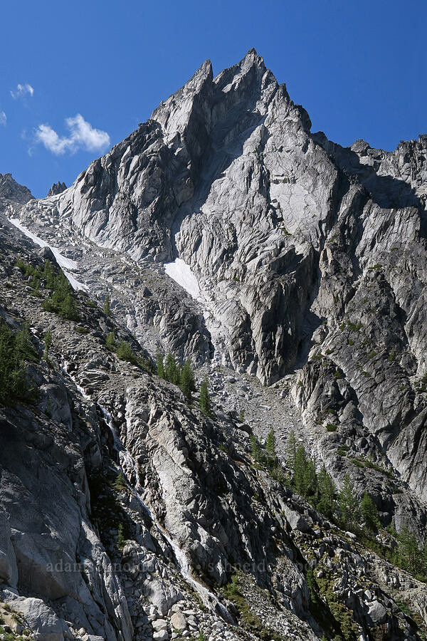 Dragontail Peak [below Aasgard Pass, Alpine Lakes Wilderness, Chelan County, Washington]
