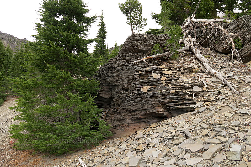 thin platy rock [below Broken Top, Three Sisters Wilderness, Deschutes County, Oregon]