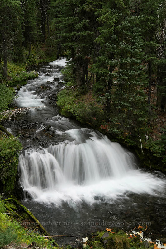 Fall Creek [Green Lakes Trail, Three Sisters Wilderness, Deschutes County, Oregon]