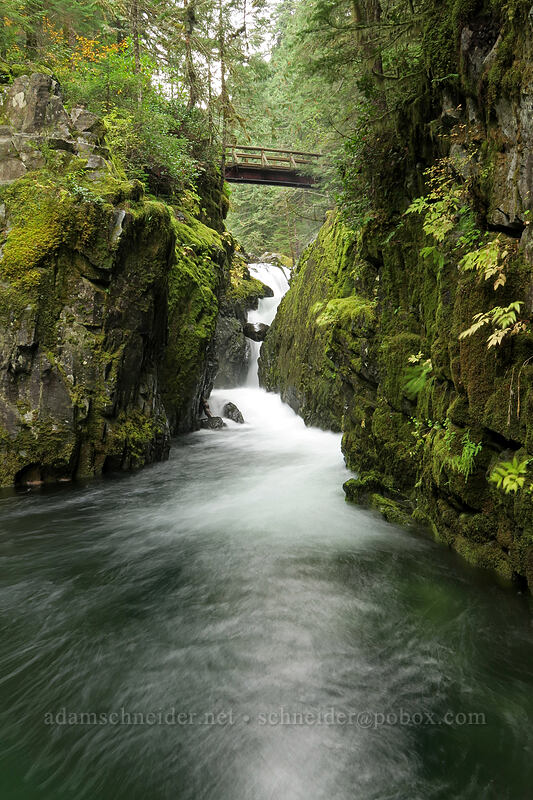 Opal Pool Falls [Kopetski Trail, Opal Creek Scenic Recreation Area, Marion County, Oregon]
