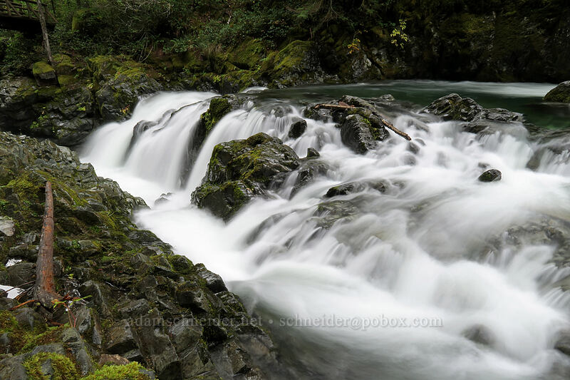 Opal Pool Falls [Kopetski Trail, Opal Creek Scenic Recreation Area, Marion County, Oregon]