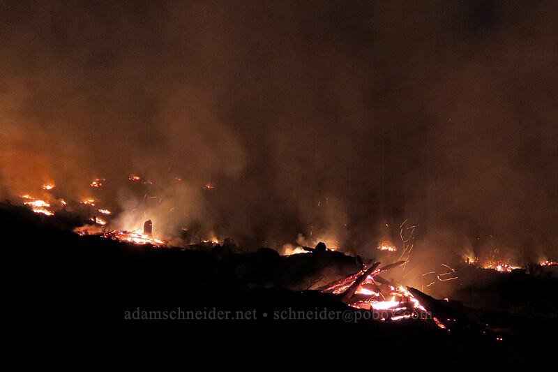 burning slash piles [Gates Hill Road, Marion County, Oregon]