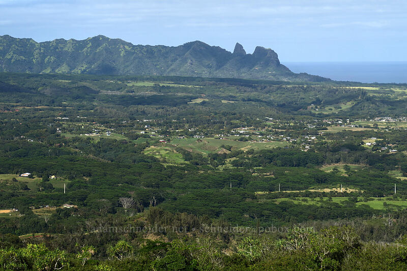 Kalalea (Anahola Mountain) [Nounou Mountain, Wailua, Kaua'i, Hawaii]