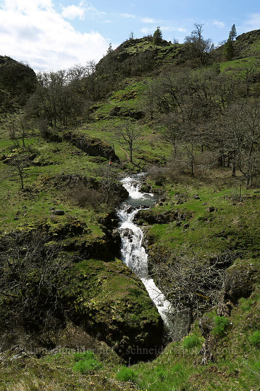 cascade on Labyrinth Creek [The Labyrinth, Klickitat County, Washington]