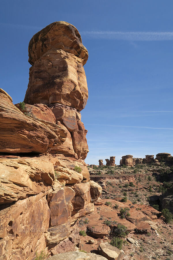 sandstone pinnacle [Big Springs Canyon Overlook, Canyonlands National Park, San Juan County, Utah]