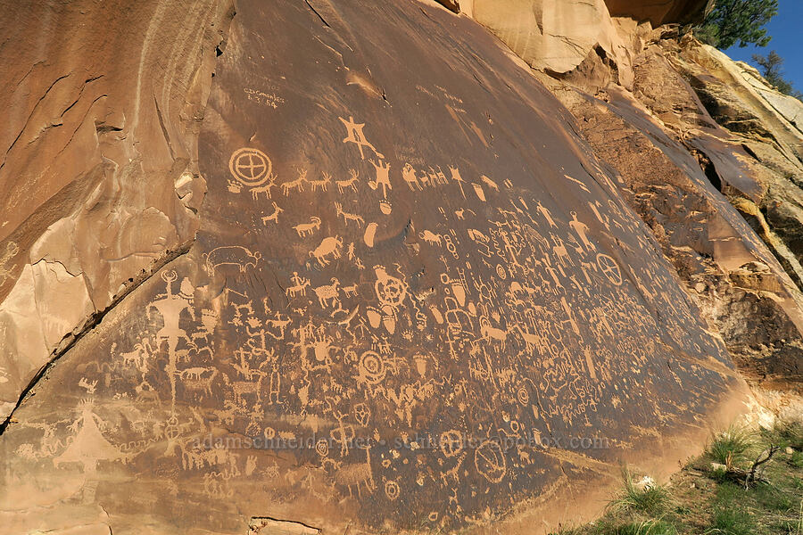 Newspaper Rock petroglyphs [Newspaper Rock State Historic Monument, San Juan County, Utah]