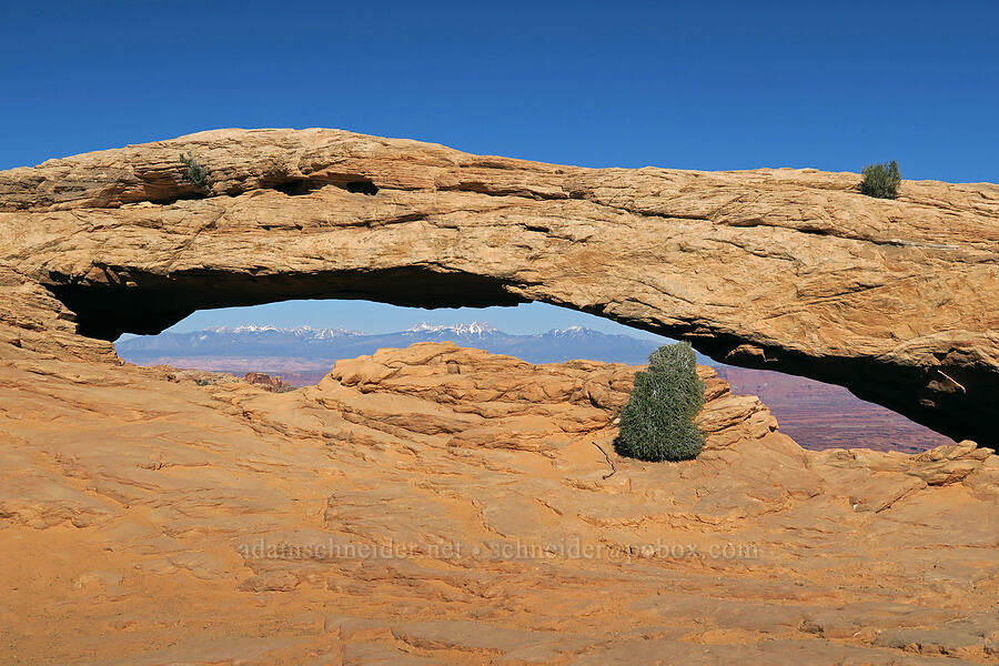 Mesa Arch [Mesa Arch Trail, Canyonlands National Park, San Juan County, Utah]