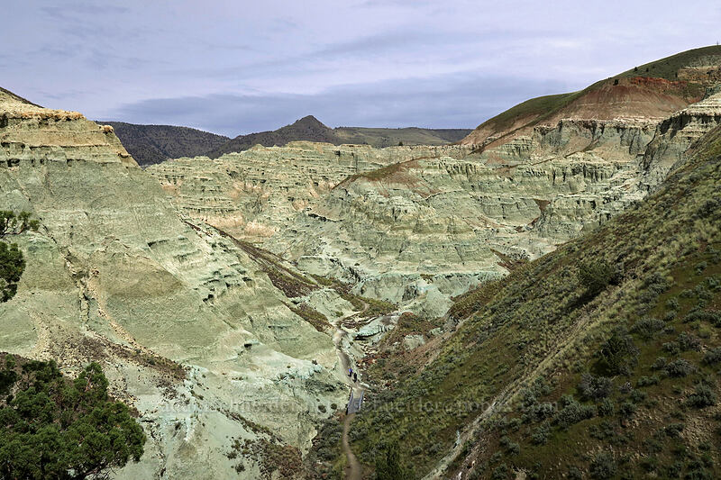 Blue Basin [Blue Basin Trail, John Day Fossil Beds National Monument, Grant County, Oregon]