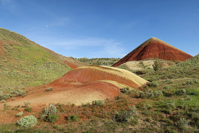Painted Hills [Red Hill Trail, John Day Fossil Beds National Monument, Wheeler County, Oregon]