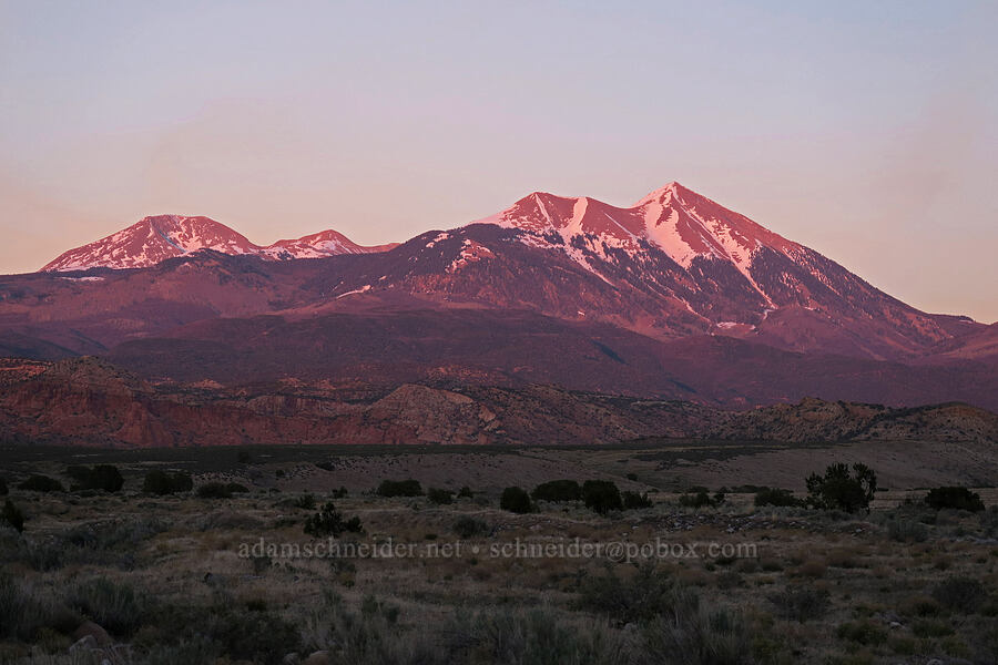 La Sal Mountains at sunset [U.S. Highway 191, San Juan County, Utah]