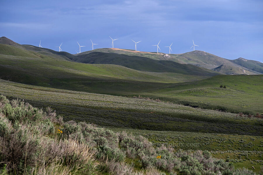 windmills & sagebrush [Lookout Mountain Road, Baker County, Oregon]