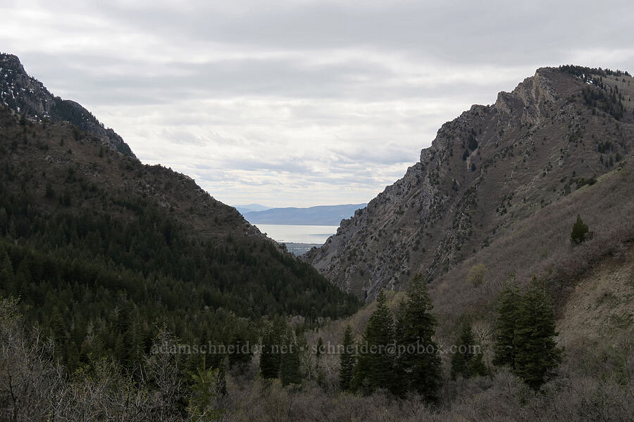 Rock Canyon & Squaw Mountain [Rock Canyon Trail, Provo, Utah County, Utah]