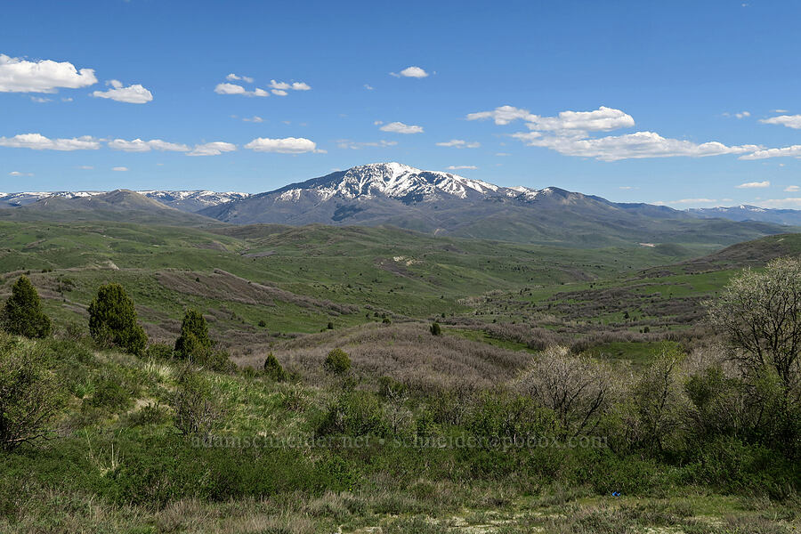 Durst Mountain [SR-167, Uinta-Wasatch-Cache National Forest, Morgan County, Utah]