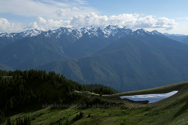 mountains to the southwest [Hurricane Hill summit, Olympic National Park, Clallam County, Washington]