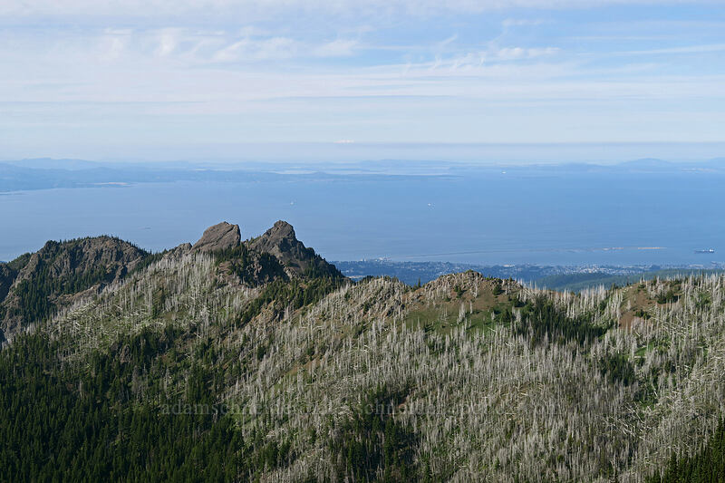 Unicorn Peak, Unicorn Horn, & Strait of Juan de Fuca [Hurricane Hill summit, Olympic National Park, Clallam County, Washington]