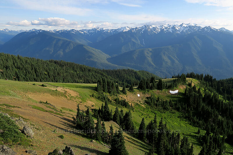 view to the south and southwest [Hurricane Hill, Olympic National Park, Clallam County, Washington]