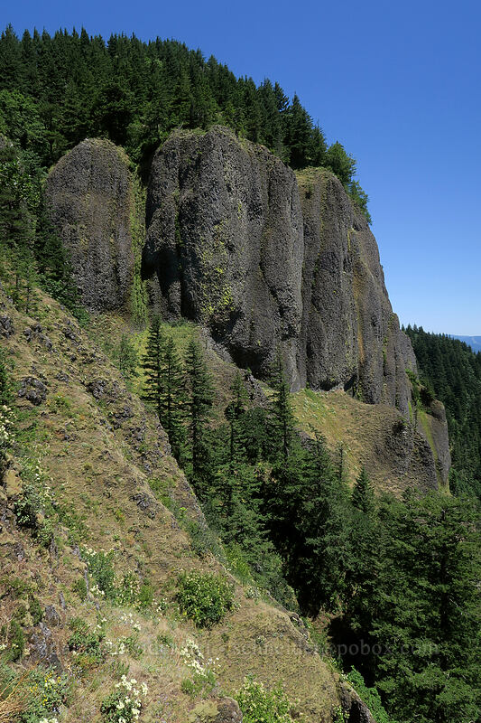 cliffs [Hamilton Mountain Trail, Beacon Rock State Park, Skamania County, Washington]