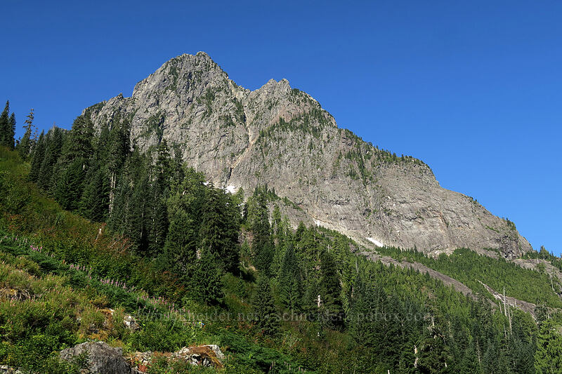 Sperry Peak [Sunrise Mine Trail, Mount Baker-Snoqualmie National Forest, Snohomish County, Washington]