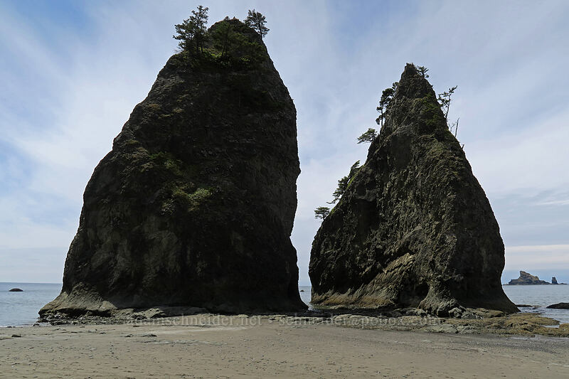 twin sea stacks [Rialto Beach, Olympic National Park, Clallam County, Washington]