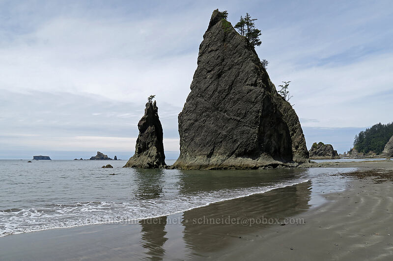 sea stacks [Rialto Beach, Olympic National Park, Clallam County, Washington]