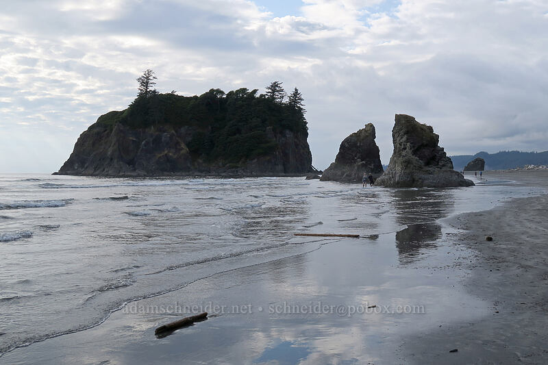 Abbey Island & sea stacks [Ruby Beach, Olympic National Park, Jefferson County, Washington]
