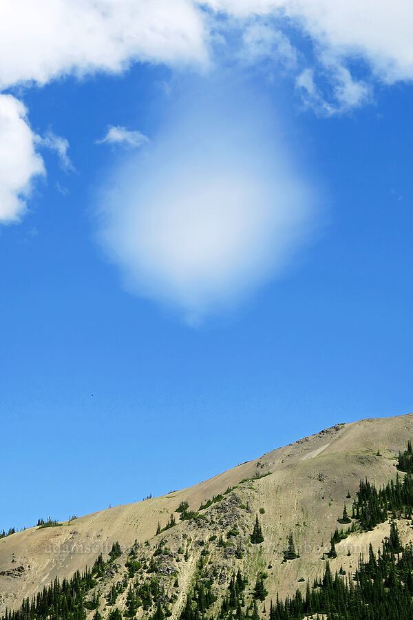 weird fuzzy cloud [Grand Pass Trail, Olympic National Park, Clallam County, Washington]