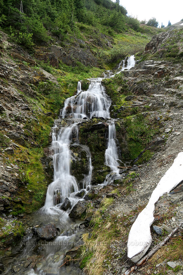 seasonal waterfall [Badger Valley Trail, Olympic National Park, Clallam County, Washington]