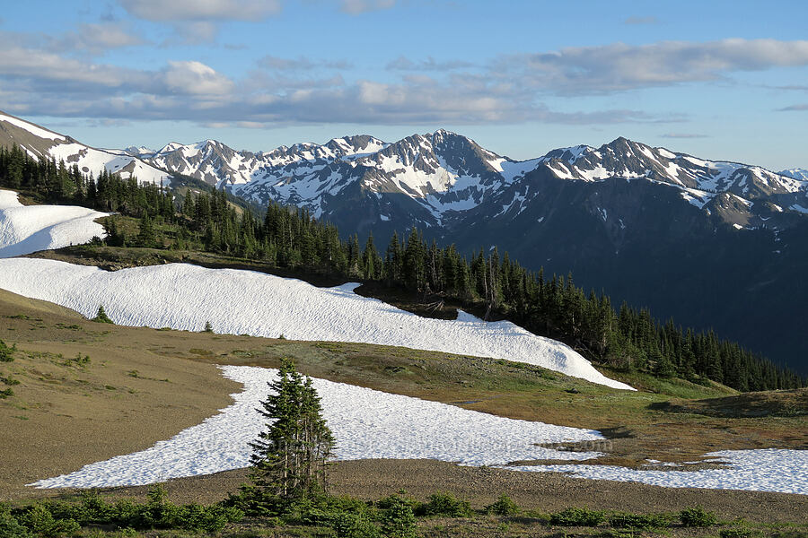 McCartney Peak & snowfields [Obstruction Point Trailhead, Olympic National Park, Clallam County, Washington]