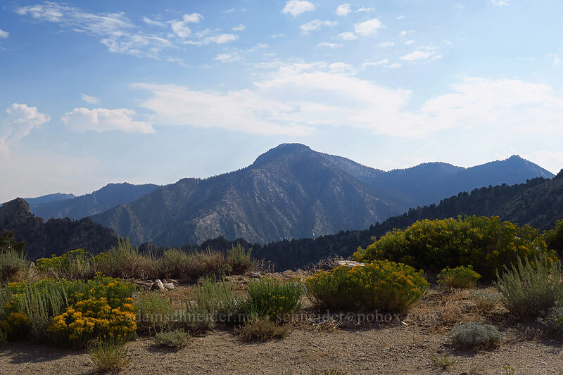 mountains to the southwest [Horseshoe Meadows Road, Inyo National Forest, Inyo County, California]