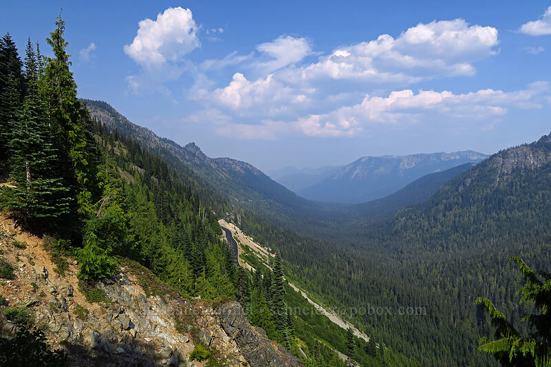 American River Valley [Pacific Crest Trail, Wenatchee National Forest, Yakima County, Washington]