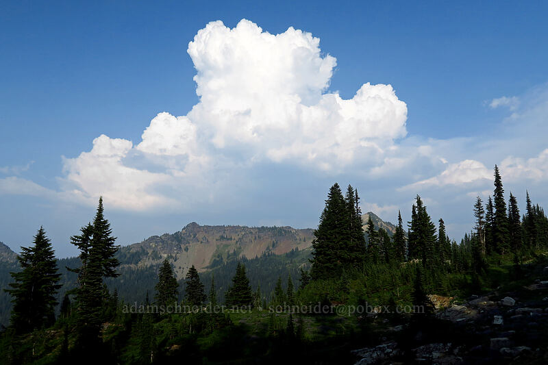 thunderstorms [Naches Loop Trail, William O. Douglas Wilderness, Yakima County, Washington]