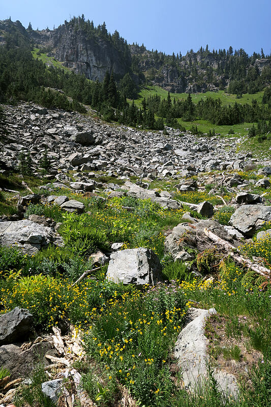bowl south of Chinook Peak [below Chinook Peak, Wenatchee National Forest, Yakima County, Washington]