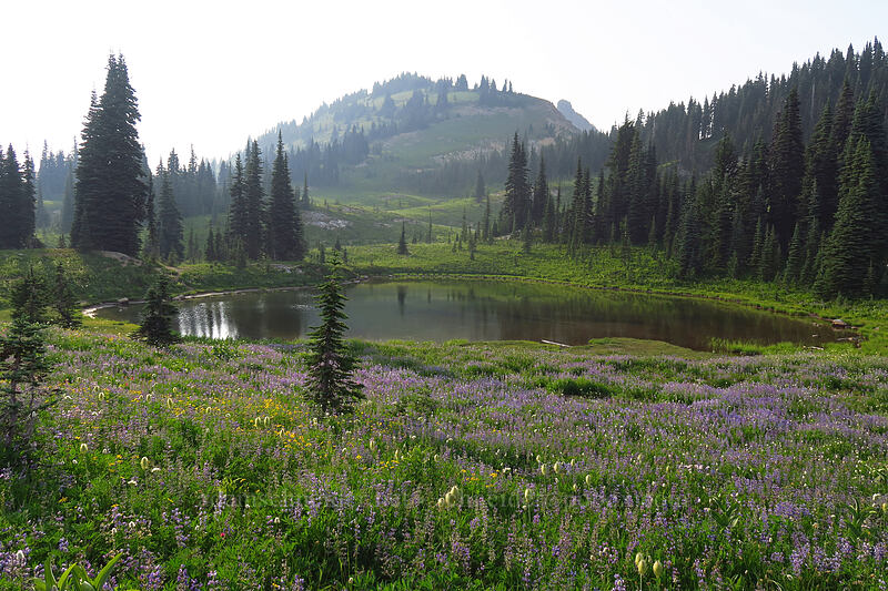pond & Naches Peak [Naches Loop Trail, Mount Rainier National Park, Pierce County, Washington]