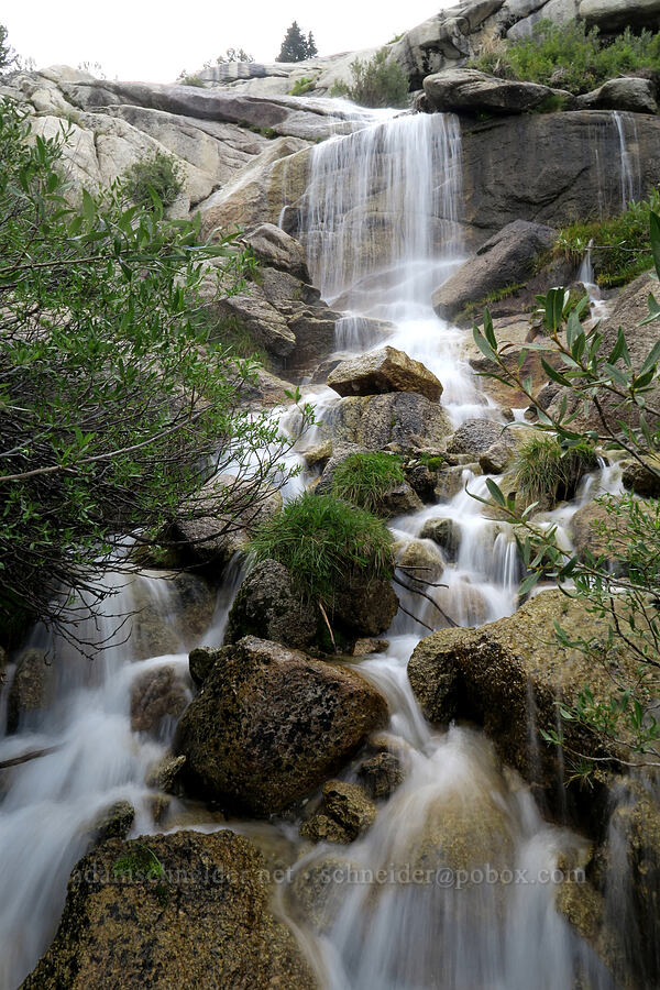 trailside waterfall [Mt. Whitney Mountaineer's Route, John Muir Wilderness, Inyo County, California]