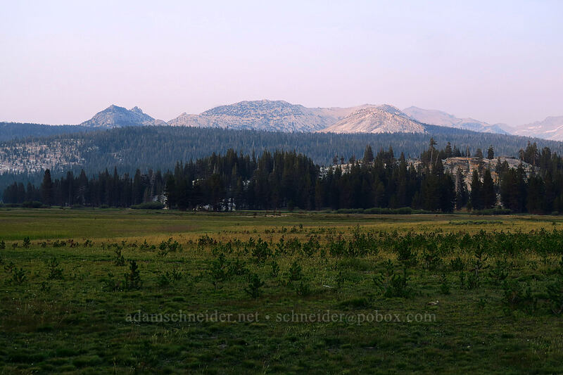 Ragged Peak & Tuolumne Meadows [Tioga Road, Yosemite National Park, Tuolumne County, California]