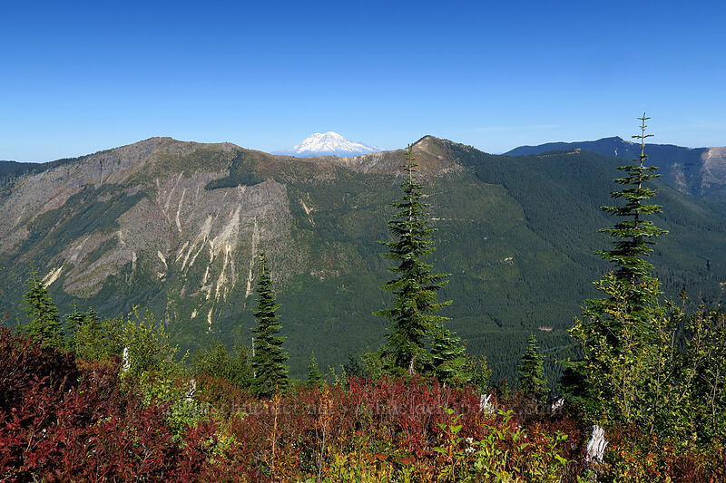 Mount Rainier & Goat Mountain [Lakes Trail, Mt. St. Helens National Volcanic Monument, Skamania County, Washington]