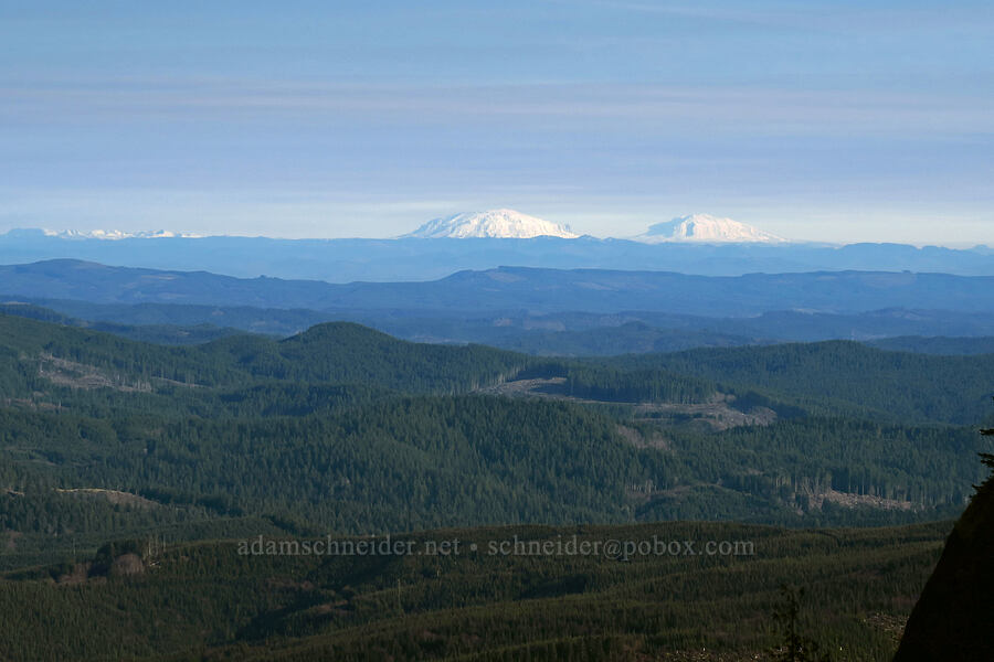Fata Morgana mirage: Mt. St. Helens & Mt. Adams [Saddle Mountain Trail, Saddle Mountain State Natural Area, Clatsop County, Oregon]