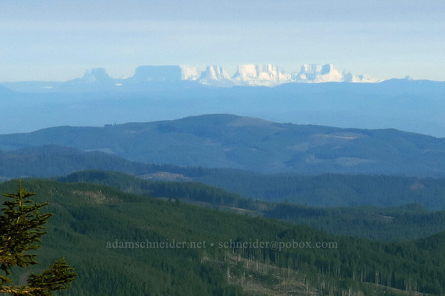Fata Morgana mirage: Mt. Margaret Backcountry [Saddle Mountain Trail, Saddle Mountain State Natural Area, Clatsop County, Oregon]