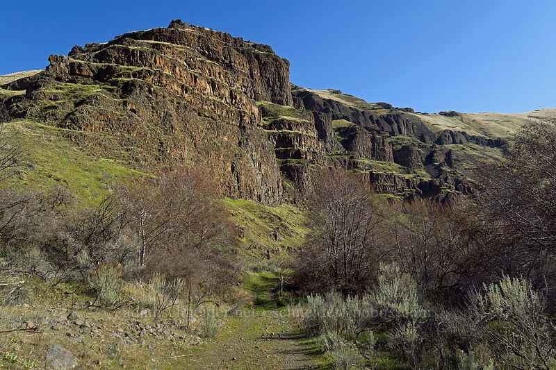 ridge south of Harris Canyon [Old Railbed Trail, Deschutes River State Recreation Area, Sherman County, Oregon]