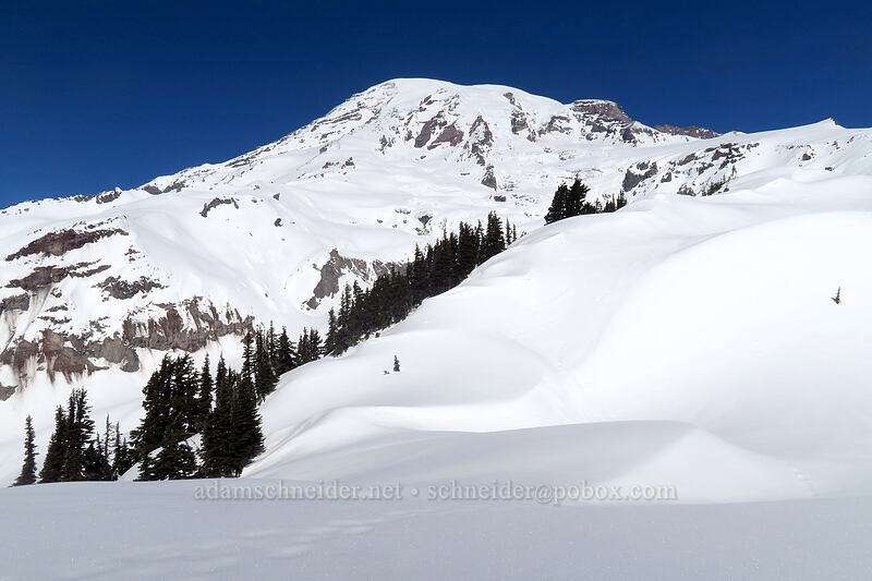 Mount Rainier & unbroken snow [above Paradise, Mt. Rainier National Park, Pierce County, Washington]